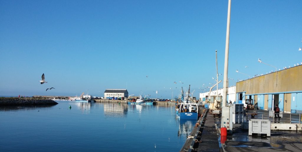 1969 : Quand la Criée a sauvé les Cormorans
